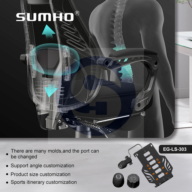 Gaming Ergonomics 4D Lumbar Support ABS PA Support Customisation