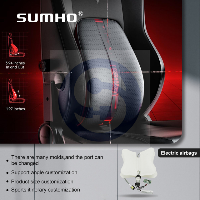 Car Seat Dual Airbag Lumbar Support Function Sofa Electric Airbag Lumbar Support